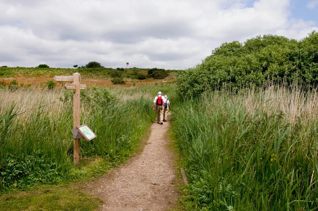 Minsmere RSPB Reserve
