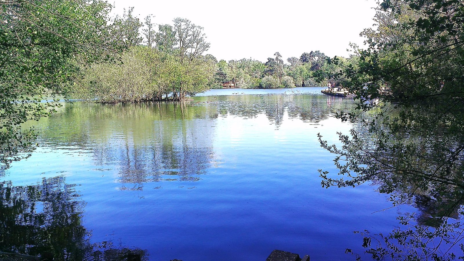 California Country Park
