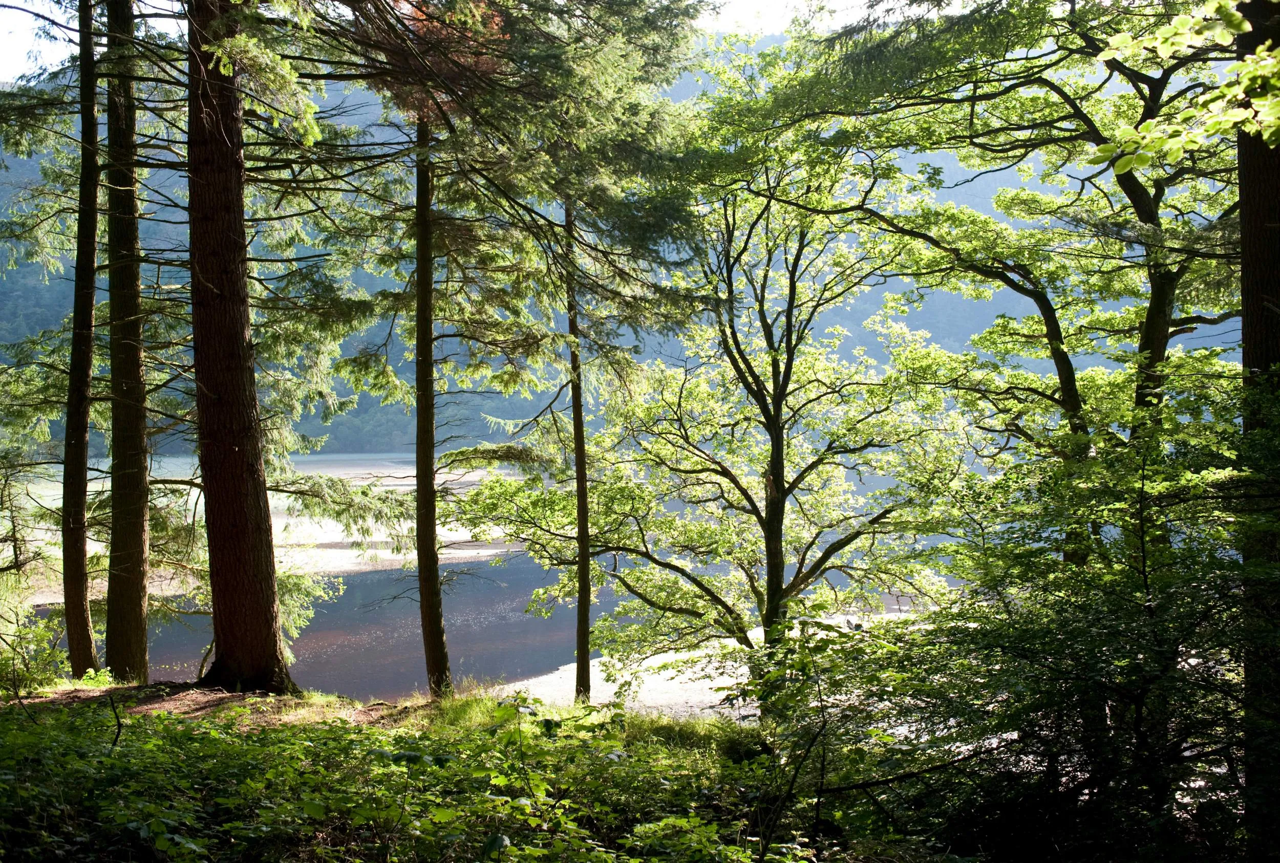 Lake Vyrnwy