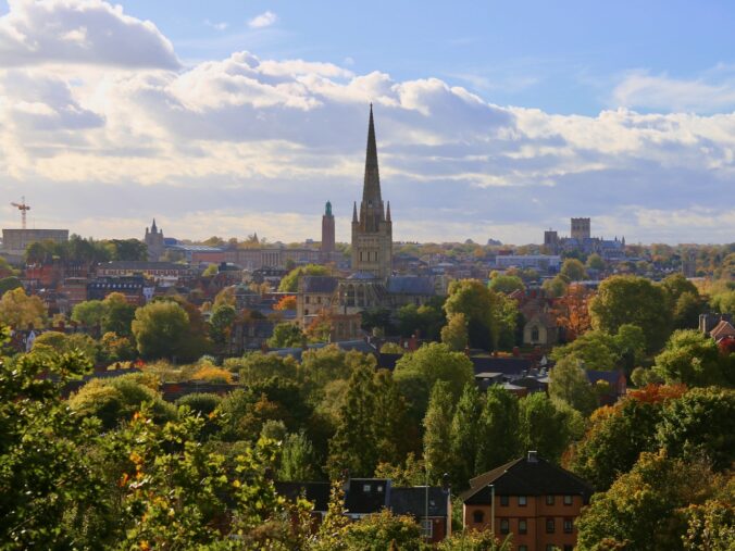 Mousehold Heath
