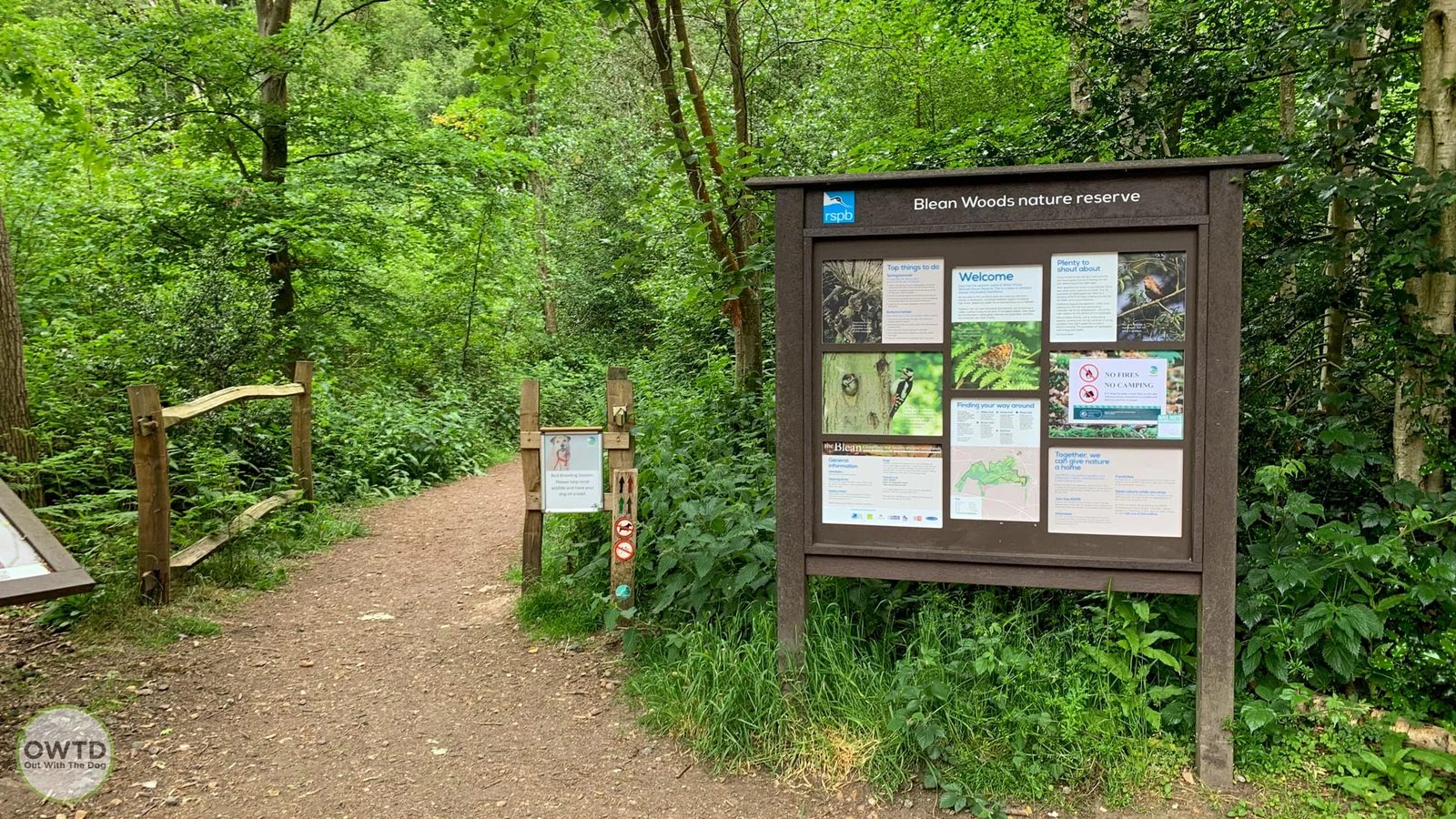 Blean Woods