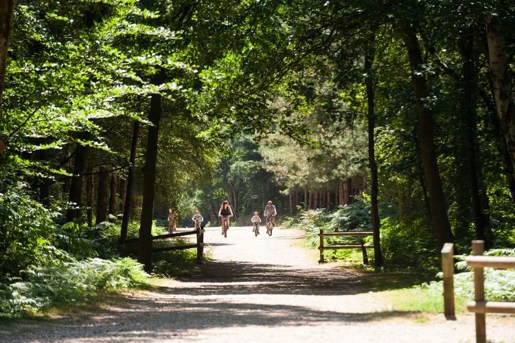 Black Park Country Park