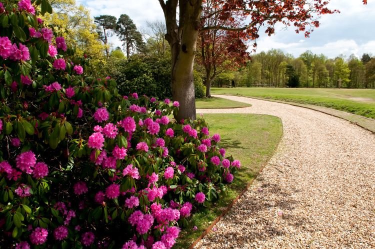 Langley Park