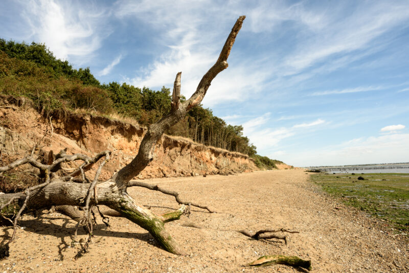 Cudmore Grove Country Park