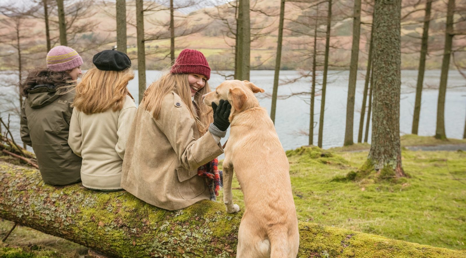 Buttermere Lake Walk