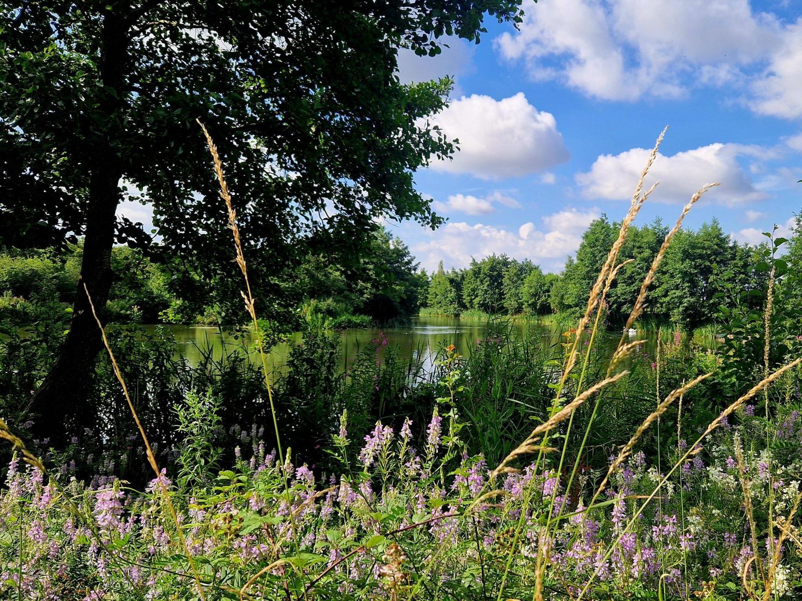 Langdon Hills Country Park