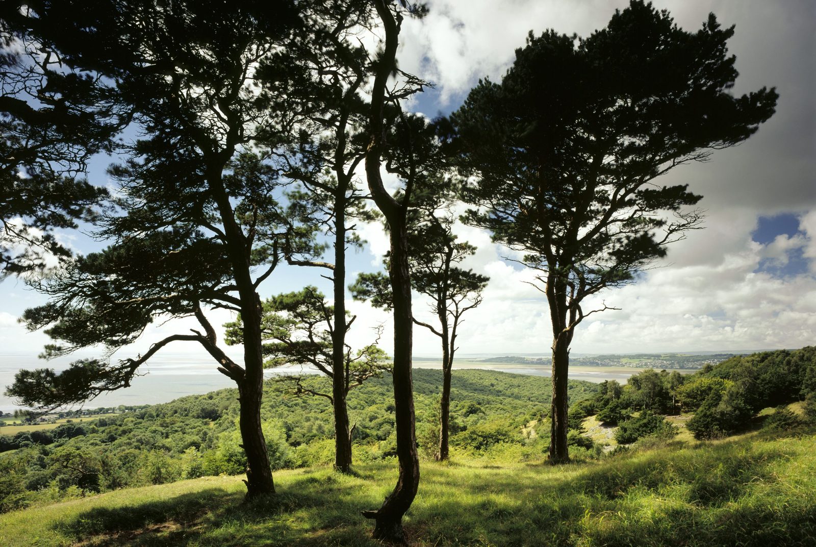 Arnside Knott