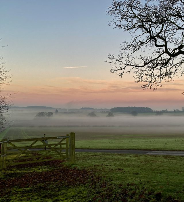 Bosworth Battlefield