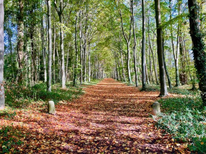 Wandlebury Country Park