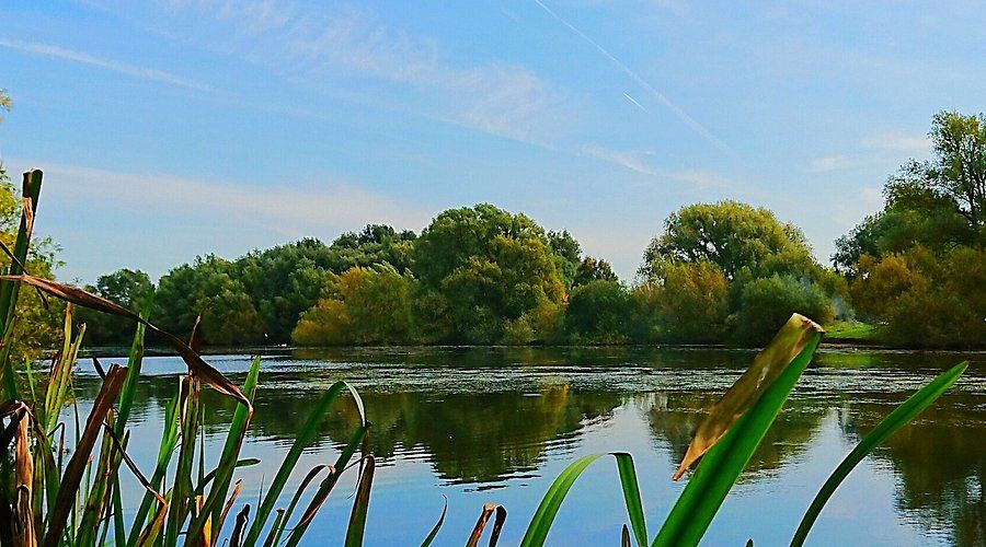 Emberton Country Park