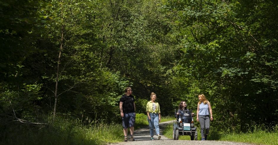 Grizedale Forest