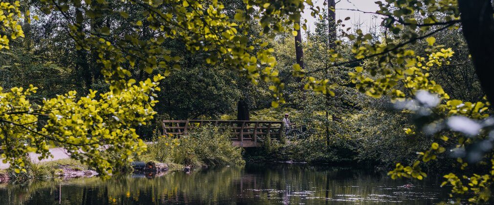 Cannock Chase