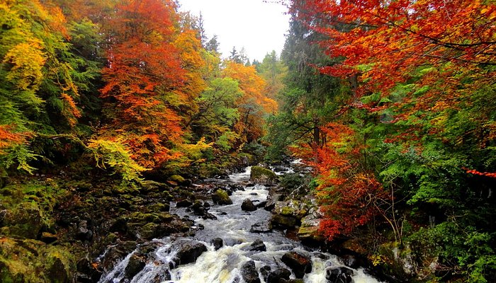 Hermitage (Dunkeld)