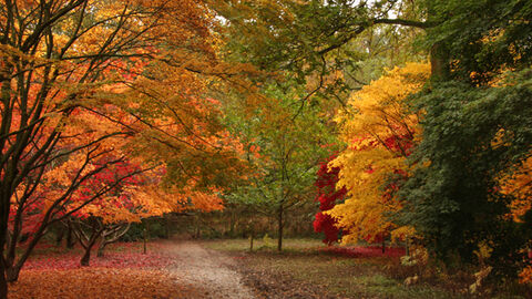 Queenswood Country Park