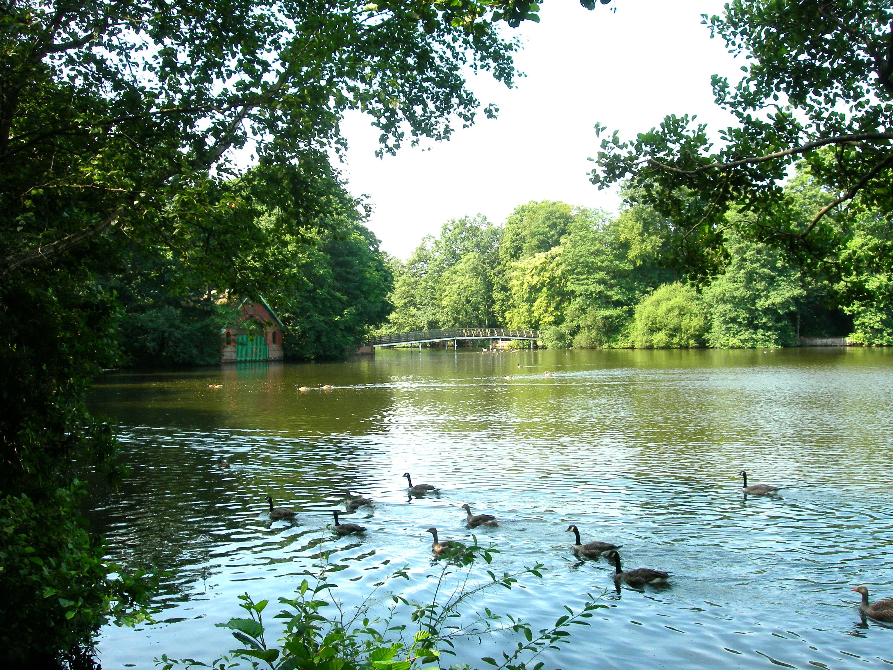 Hartsholme Country Park