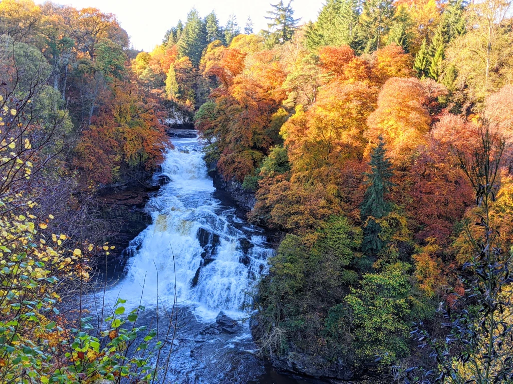 Falls of Clyde