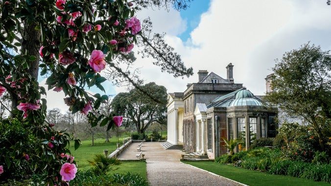 Trelissick Garden