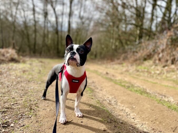 Shotover Country Park