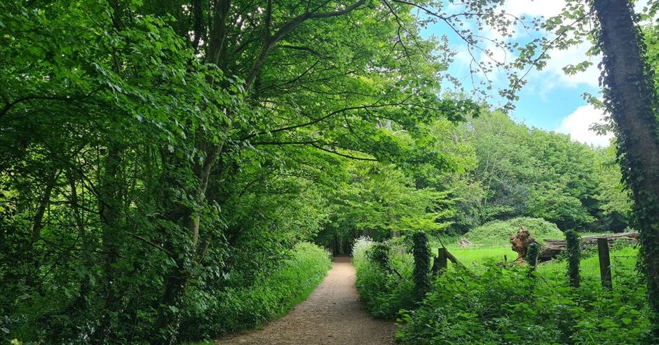 Stanmer Park