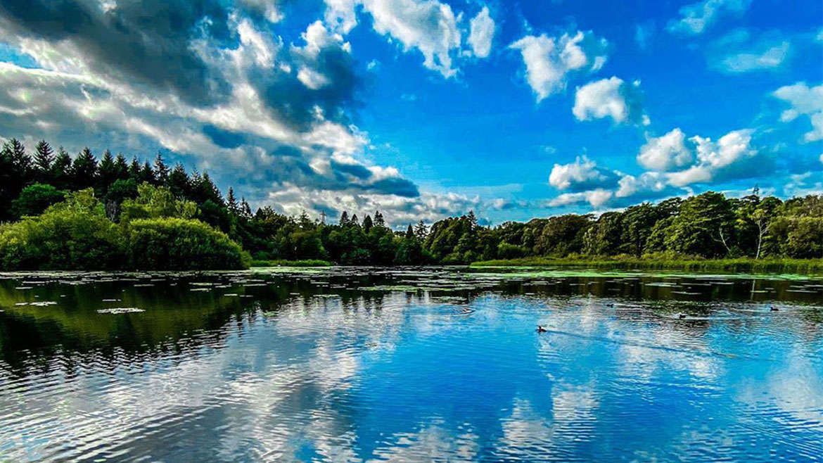 Stover Country Park