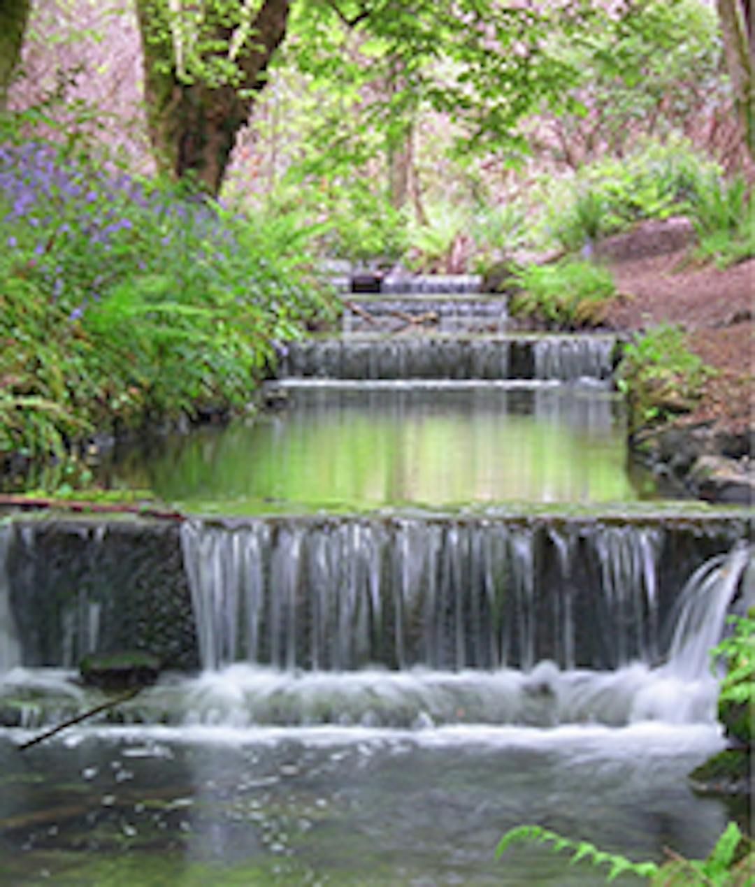 Tehidy Country Park