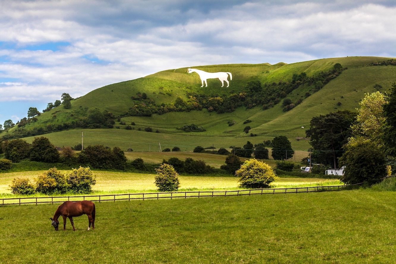 The Westbury White Horse