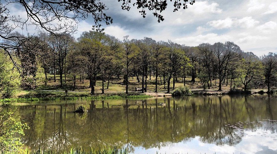 Thorndon Country Park