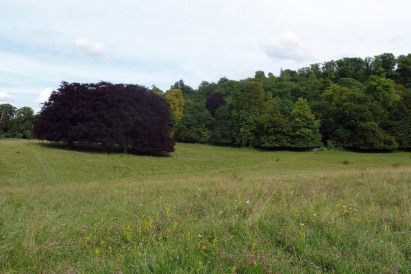 Tring Park