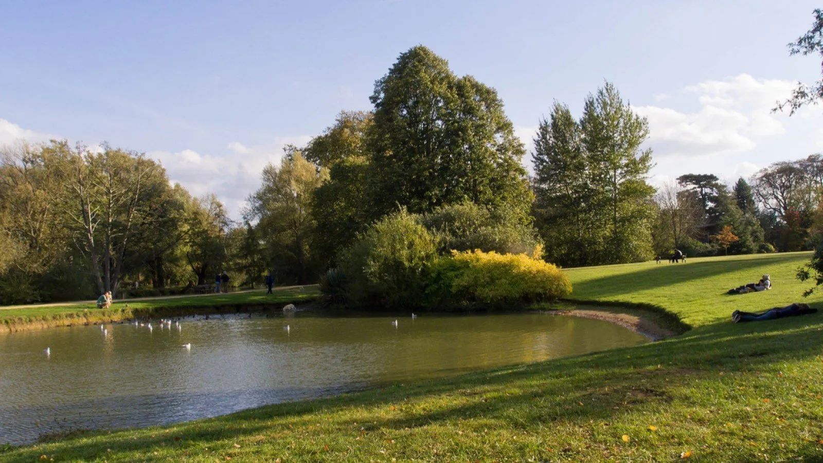 University Parks