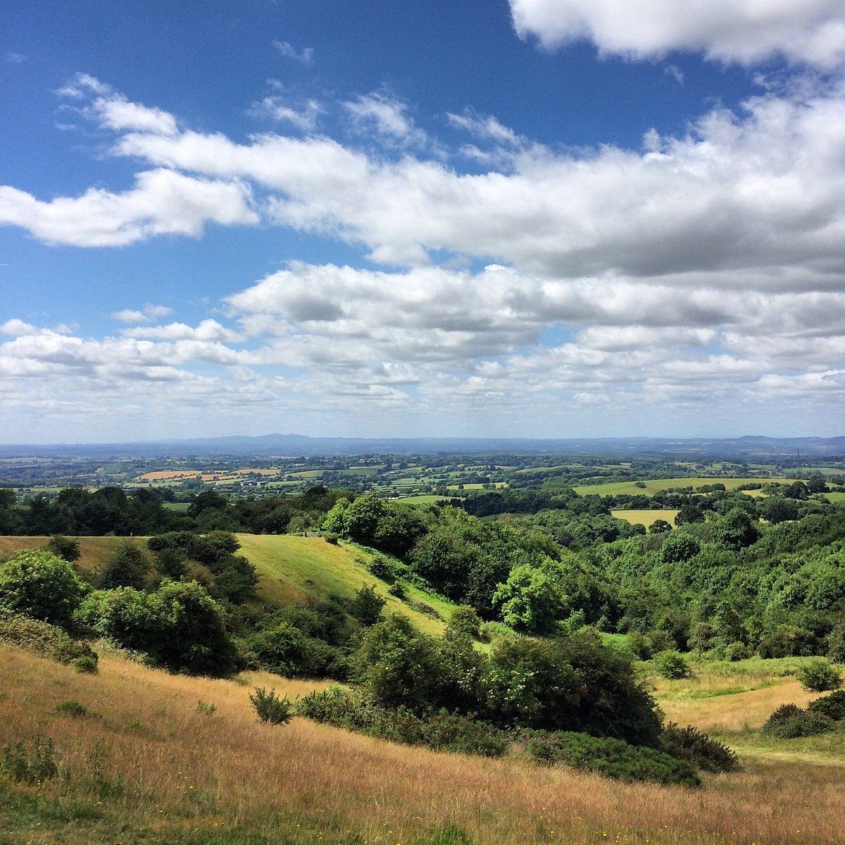 Waseley Hills Country Park