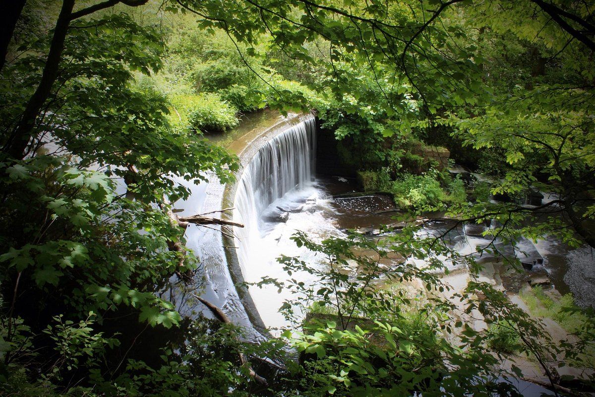 Yarrow Valley Country Park